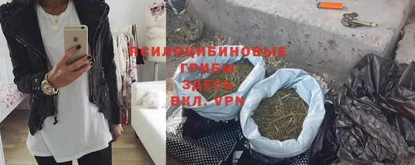 скорость Белокуриха