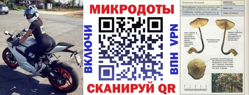 Галлюциногенные грибы прущие грибы гидра как войти Козьмодемьянск